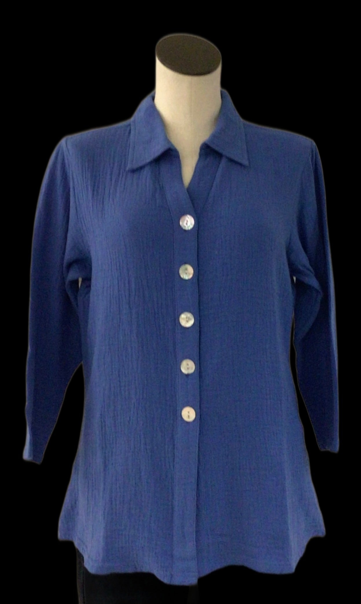 Parsley and Sage Blue Nina Shirt 24T60G